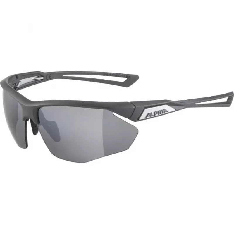 Alpina Nylos HR -aurinkolasit Kat. 3 harmaa