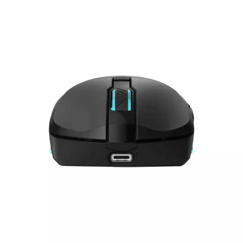 Baracuda BGM-121 Turtle -hiiri musta USB