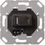 Gira USB-virtalähde 2-kertainen Type A/C asennusosa 236900 (236900)