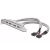 Korttipaikkakaapeli USB 2.0 HighSpeed tyyppi 2xIDC (5pin)/4xUSB A M/F harmaa 0,25 m