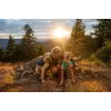Ruffwear Front Range XS sininen polyesteri