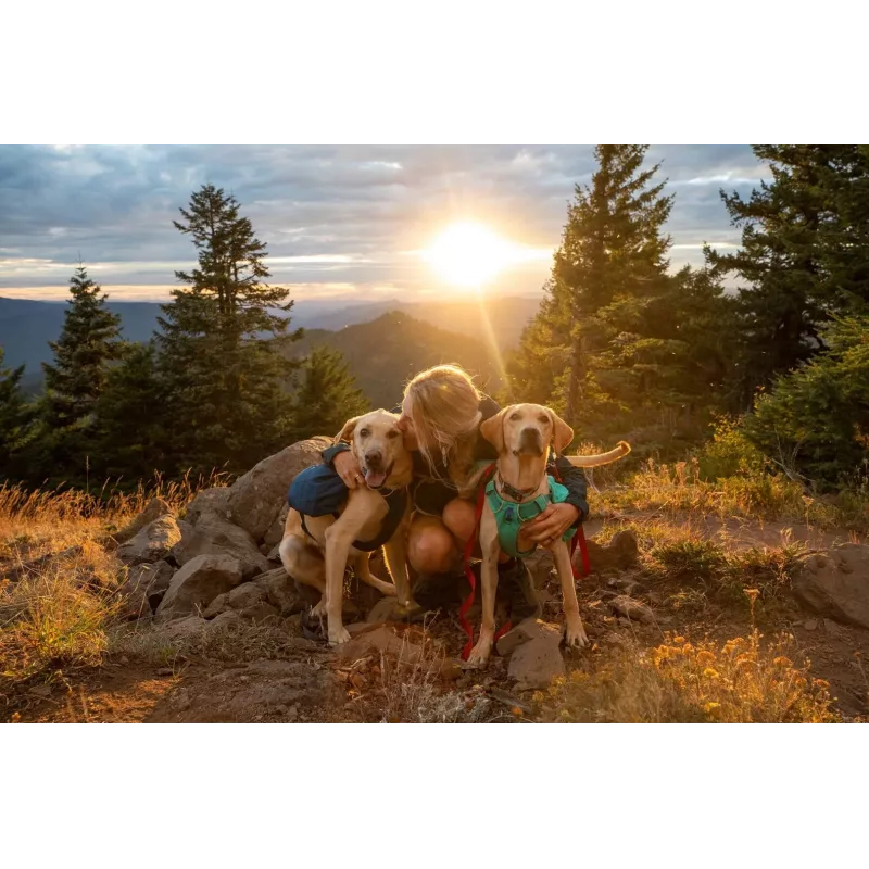 Ruffwear Front Range XS sininen polyesteri