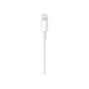 Apple USB-C–Lightning-kaapeli (1 m)