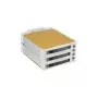 Fantec SNT-BA2131-2 - S-ATA 2x 13,30 cm (5,25) 3x1 HDD:lle beige (2007)