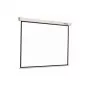Reflecta CrystalLine rulla projektiokangas 1:1 196x196 cm