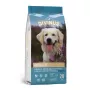Kuivaruoka koirille DIVINUS Adult 20 kg — siipikarja, 23 % proteiinia, 8 % rasvaa, 3 % raakakuitua, sopii aikuisille koirille kaikenrotuisille