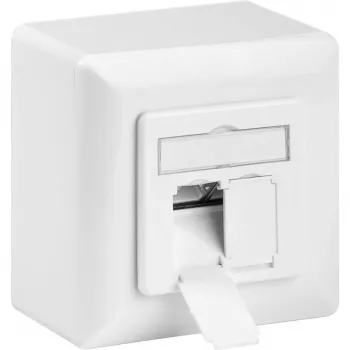 Wentronic Goobay CAT 6 yleisrasia sis. pinta-asennuskehyksen, valkoinen - 2x RJ45 verkkorasia suojattu (68244)