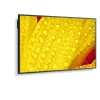 NEC MultiSync M651-2 kioskidesign 165,1 cm (65