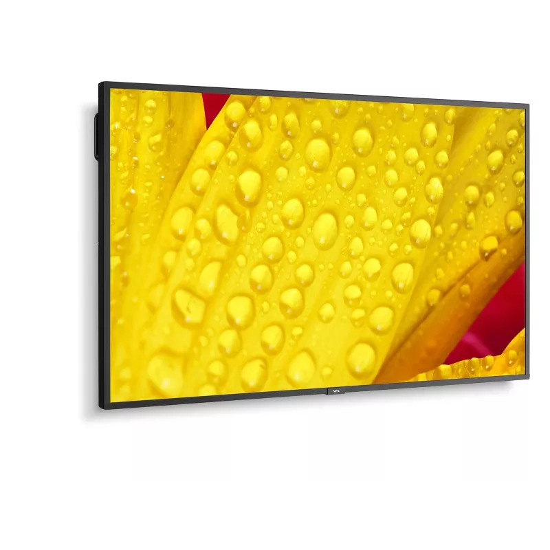NEC MultiSync M651-2 kioskidesign 165,1 cm (65