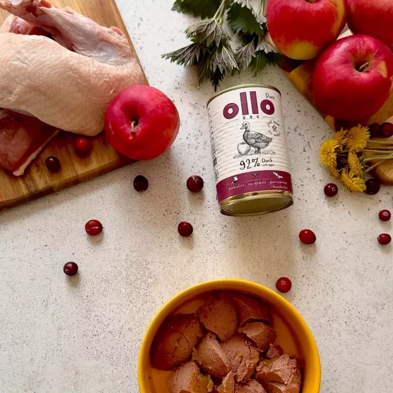 OLLO Pure Duck omenalla - koiran märkäruoka - 400 g