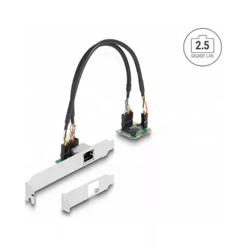 DeLOCK 95271 sisäinen verkkokortti 2500 Mbit/s Mini PCI Express
