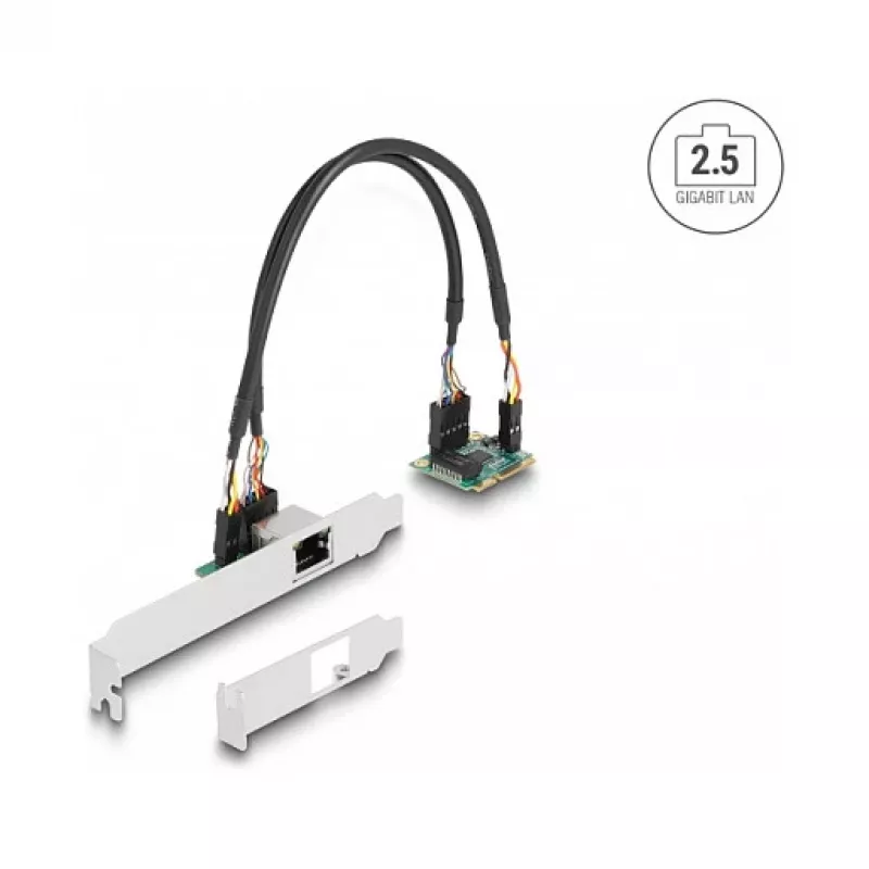 DeLOCK 95271 sisäinen verkkokortti 2500 Mbit/s Mini PCI Express