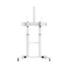 Sbox FS-3610 lattiateline ultralaajoille LED-televisioille 60-100 inch 100 kg valkoinen