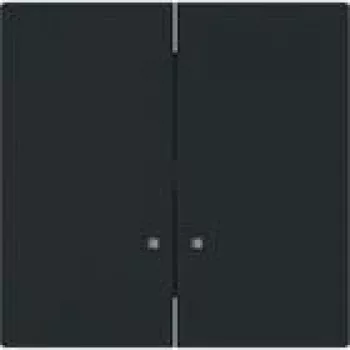 BUSCH JAEGER keinupainike 1785 K-45M kanssa 2 keinupainikepuoliskoa (2CKA001751A3308)
