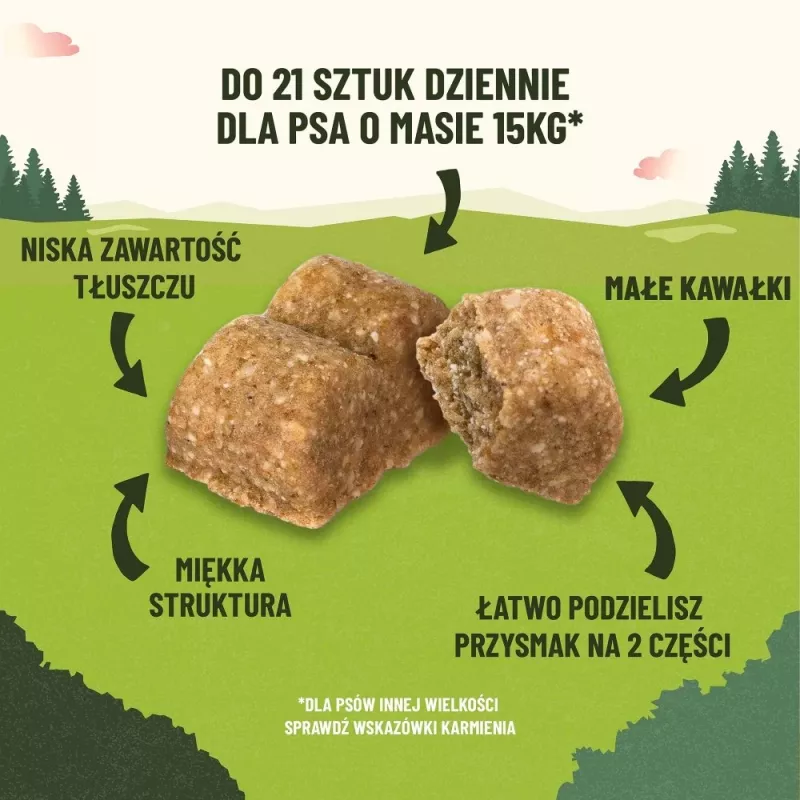 PURINA Adventuros Training lohi - koiranherkku - 40 g