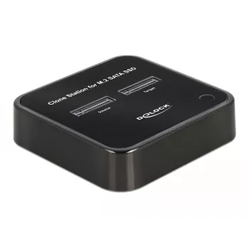 DeLOCK 64178 telakointiasema USB 3.2 Gen 2 Type-C SSD M.2