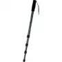 WALSER Walimex Pro WT-1003 Basic - yksijalka (monopodi) (1012120)