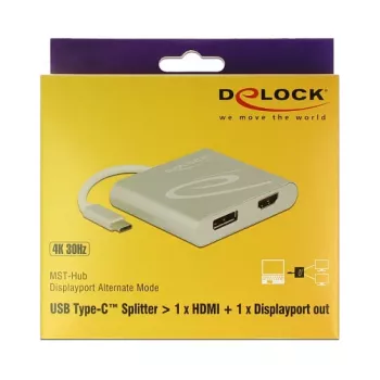 USB-näytönohjainsovitin DeLOCK 87716 2560 x 1440 pikseliä hopea