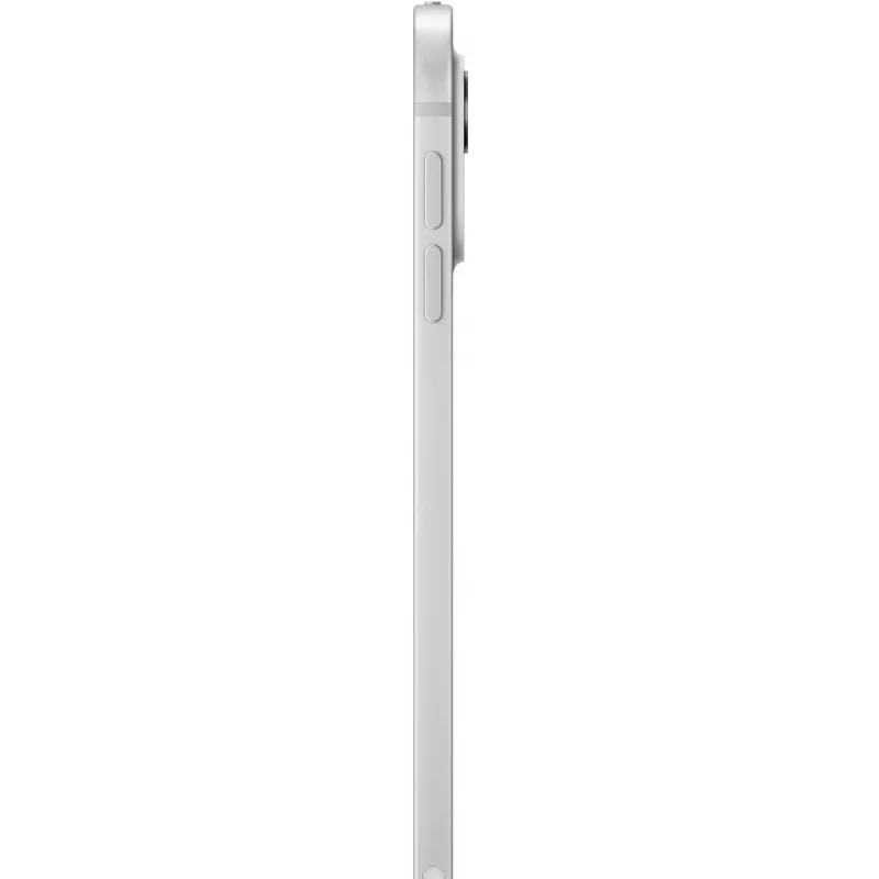 iPad Pro 11