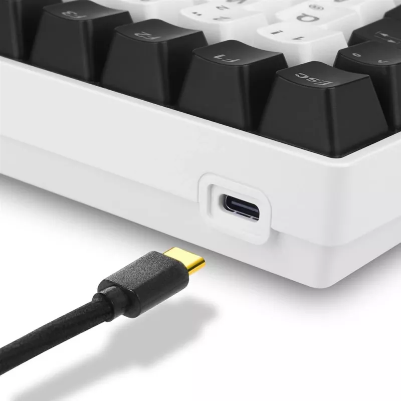 Sharkoon SKILLER SGK50 S3 näppäimistö peli USB AZERTY ranska valkoinen