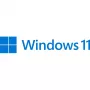 Microsoft Windows 11 Pro 64-Bit espanja (FQC-10552)