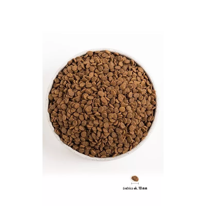 Orijen Kitten kuivaruoka kissanpennuille, 1,8 kg