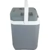 Cool Box Campingaz Powerbox Plus 28 L Electric harmaa