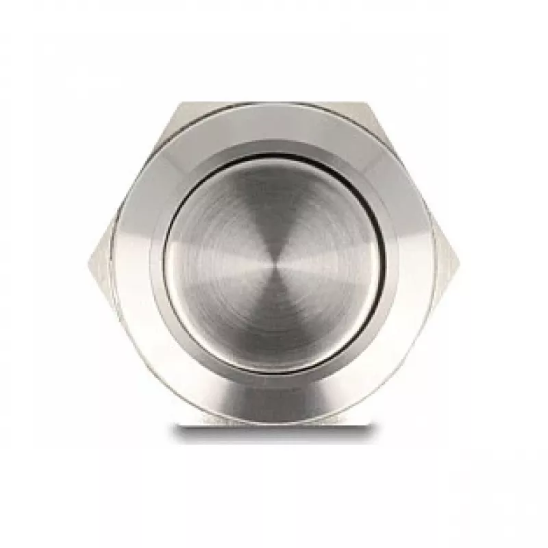 Painokytkin DeLOCK 22040 2P nikkeli ruostumaton teräs 250V 5A