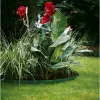 Gardena 536-20 puutarhan reunusrulla muovi vihreä (536)