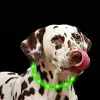 LED-panta Anicoll vihreä koirille ja kissoille malli ladattava valaistus