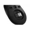 Lenovo Legion M600 langaton pelihiiri molempikätinen RF langaton + Bluetooth + USB Type-A optinen 16000 DPI