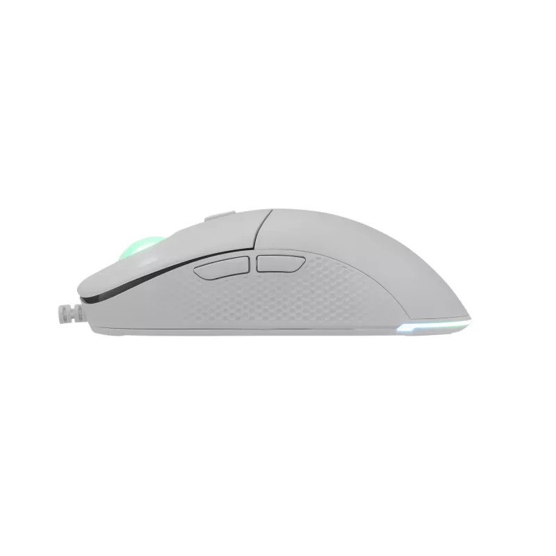 Hiiri White Shark GM-5010 Bagdemagus valkoinen USB