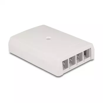 DeLOCK 67053 Keystone-pintarasiansa, 4-porttinen, valkoinen