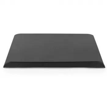 Leivinpelti Salter BW12560EU7 32 cm tarttumaton hiiliteräs