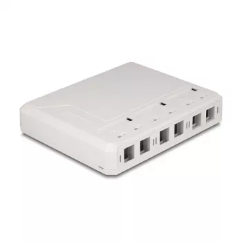 DeLOCK 67052 Keystone-pinta-asennuskotelo kuitumoduuleille, 6-porttinen, valkoinen