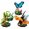LEGO IDEAS 21342 hyönteiskokoelma