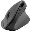 Hiiri SPEEDLINK SL-630019-RRBK RF langaton USB Type-A optinen 1600 DPI