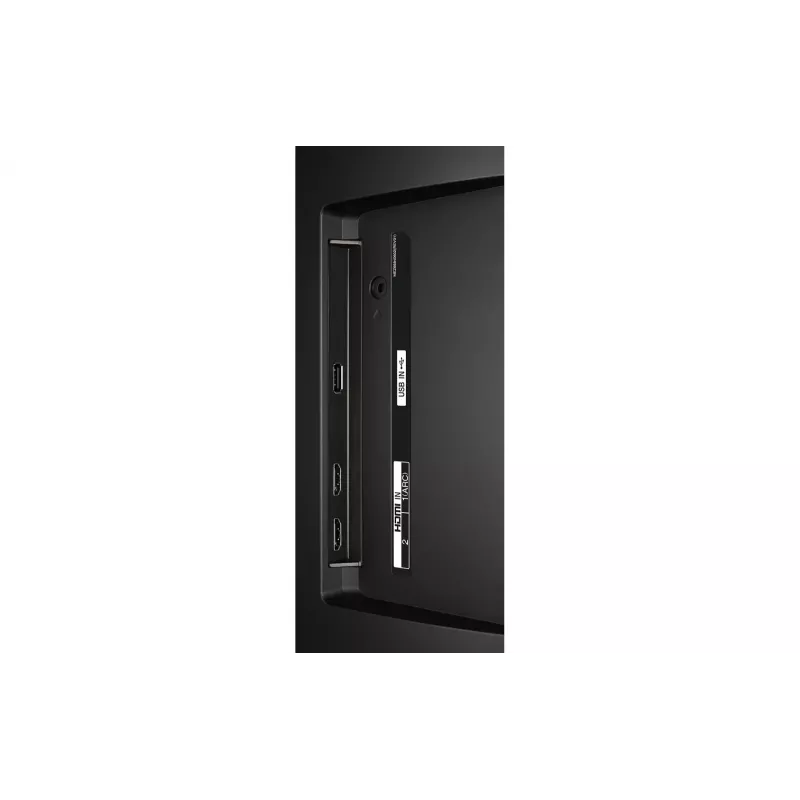 LG hotellitelevisio 24LN662V 24