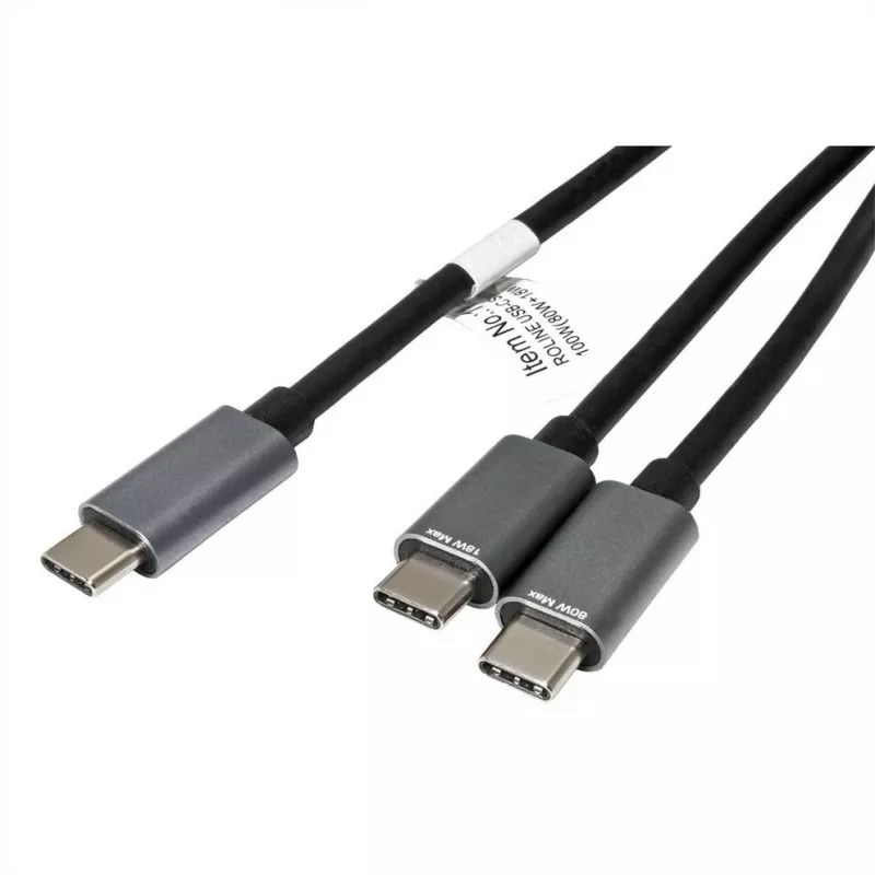 ROLINE - USB-kaapeli - 24-pin USB-C (M) - 24-pin USB-C (M) - USB 2.0 - 1,85 m - USB-virransyöttö (100 W) - musta (11.02.8308)