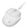 Sharkoon OfficePal M25W langaton toimistohiiri, oikeakätinen, 4000 DPI