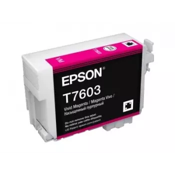 Epson C13T76034N10 värikasetti 1 kpl alkuperäinen Vivid Magenta