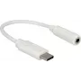 Audiokaapeli DeLOCK 65913 0,14 m 3,5 mm USB valkoinen