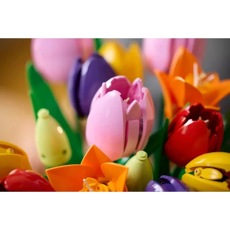 LEGO BOTANICALS 11501 Tulppaanikimppu