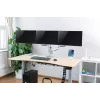 LogiLink BP0052 monitoriteline / jalusta 81,3 cm (32) työpöytä metallinvärinen