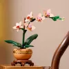 LEGO ICONS 10343 The Botanical Collection - miniorkidea