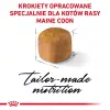 ROYAL CANIN Maine Coon Kitten - kuivaruoka kissoille - 4 kg