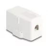 Delock 85841 Keystone-tyhjä kotelo, 1 portti, magneettijalusta, valkoinen