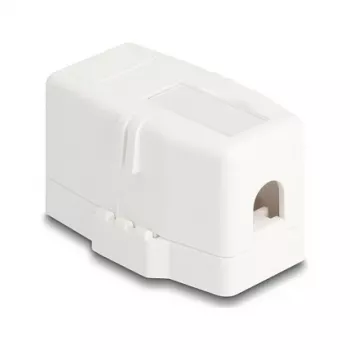 Delock 85841 Keystone-tyhjä kotelo, 1 portti, magneettijalusta, valkoinen