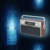 Kannettava radio MANTA RDI917PRO Bluetooth- ja USB-toistolla