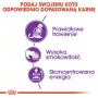 Royal Canin Sensible 33 kissojen kuivaruoka, 2 kg